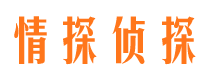 宿松婚外情调查